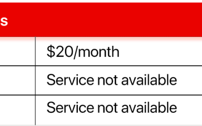 UBA Banks reduce dollar spending limit on naira debit cards to $20